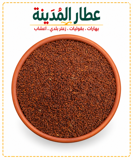 بذور الرشاد