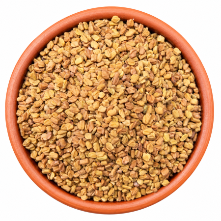 حلبة بلدية